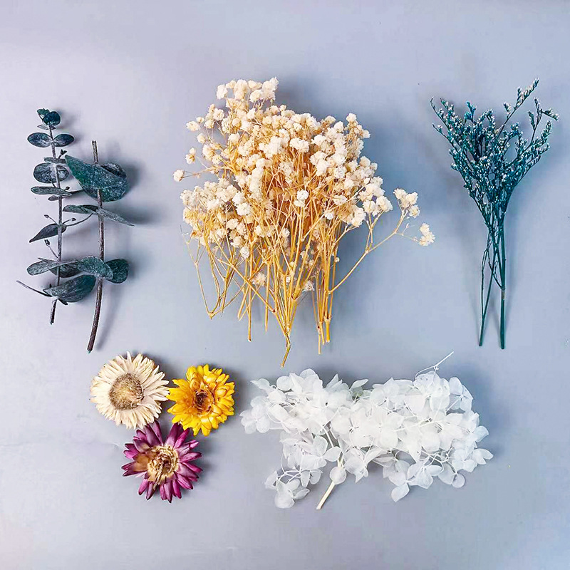 Embellish Craft - Ensemble de fleurs séchées multiples, 1