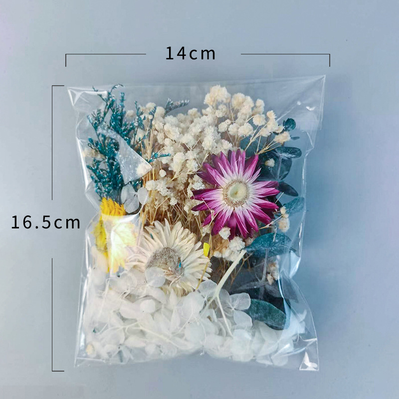 Ensemble de fleurs séchées mul - Embellish Craft avis et prix