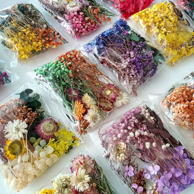 Ensemble de fleurs séchées mul - Embellish Craft avis et prix