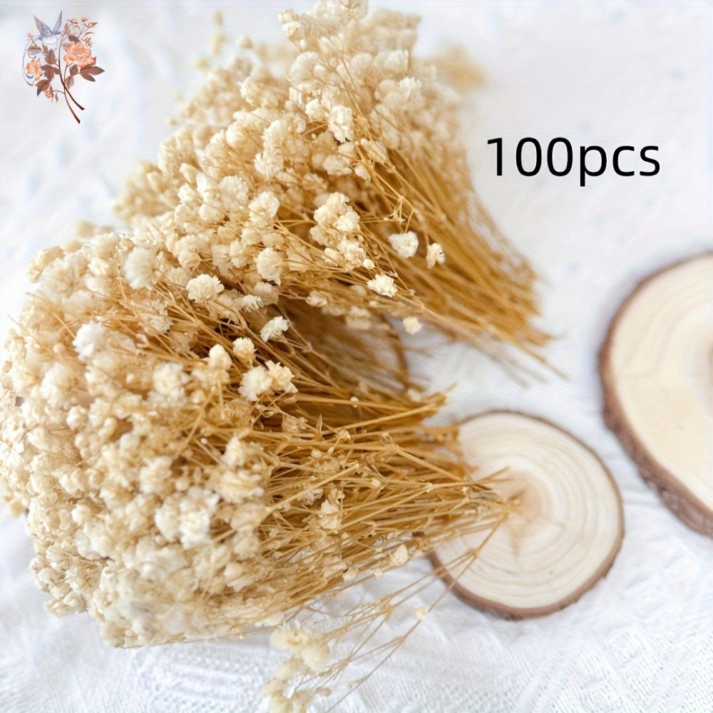 100 mini-fleurs séchées de gyp - Embellish Craft avis et prix