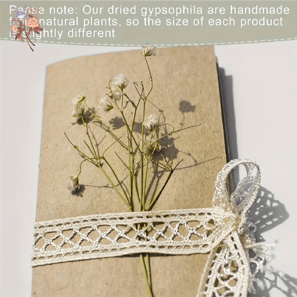 100 mini-fleurs séchées de gyp - Embellish Craft avis et prix